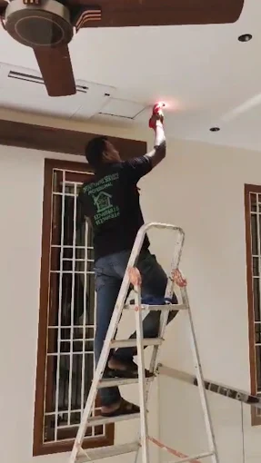 Home cleaning professionals working 